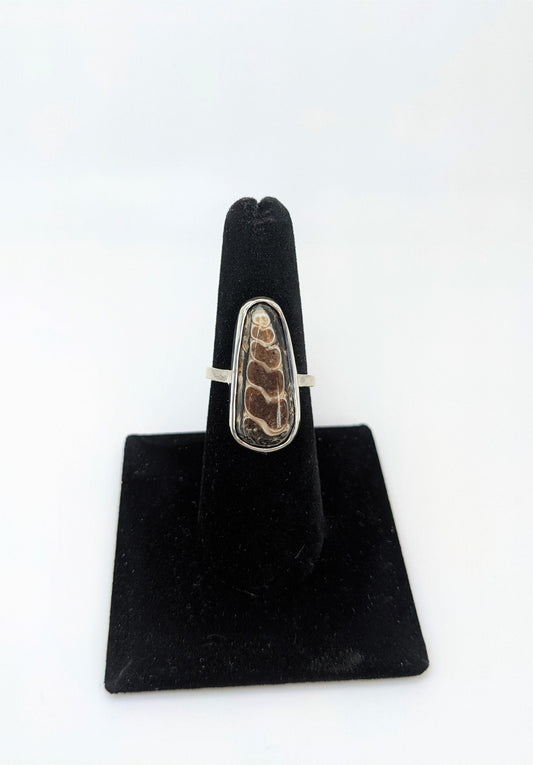Sea Shell Fossil Silver Ring