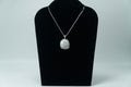 Colorado Sowbelly Agate .925 Silver Pendant
