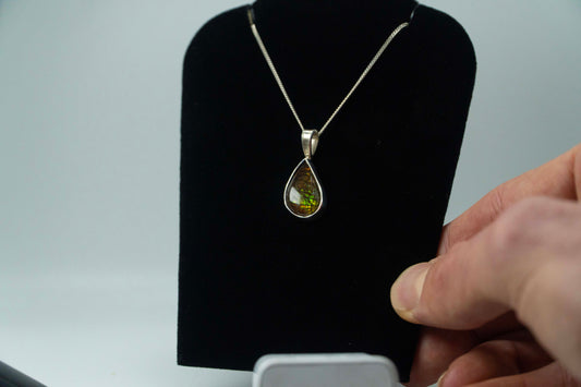 Ammolite .925 Silver Pendant