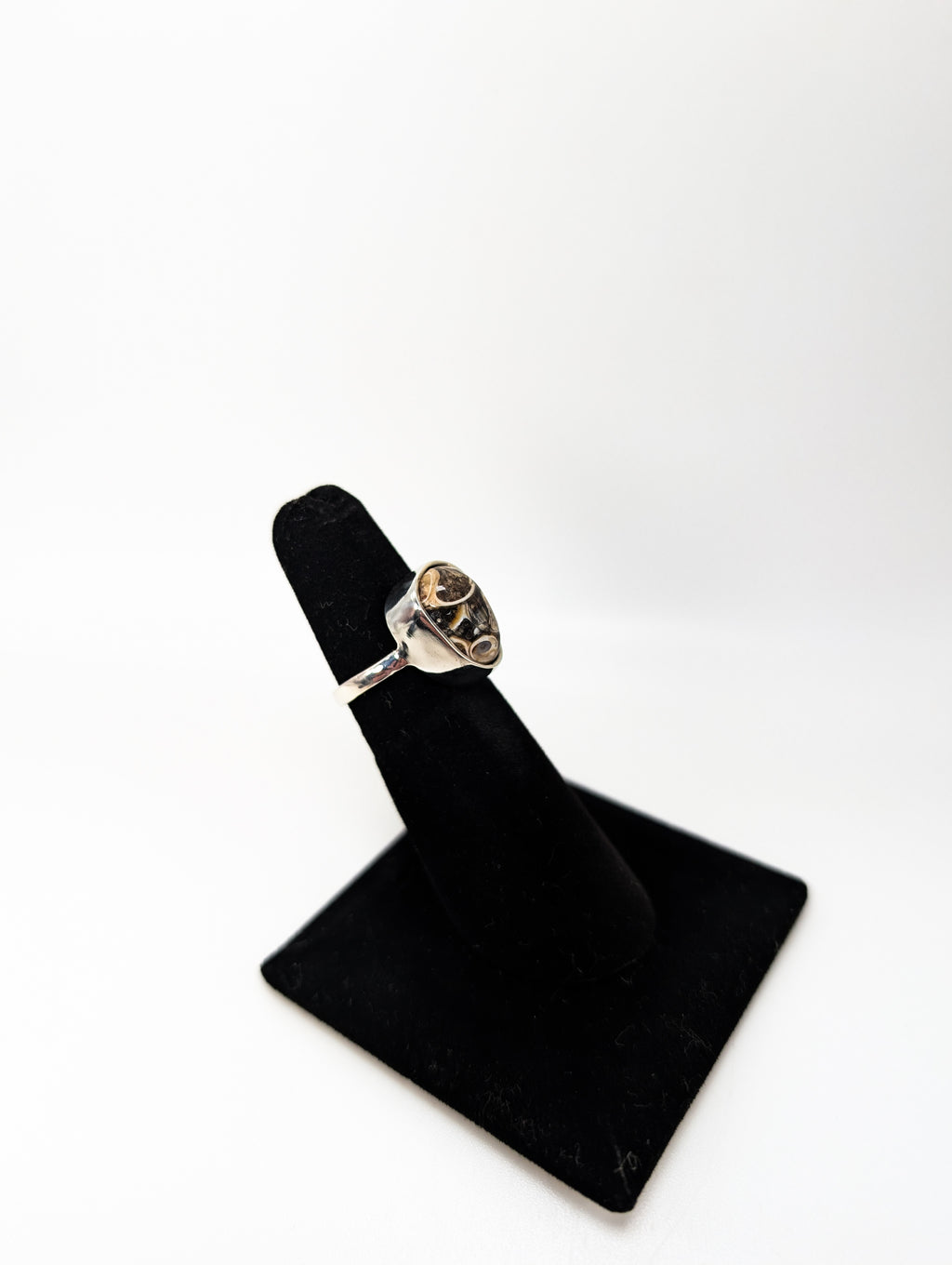 Seashell Fossil Silver Ring .925 Silver