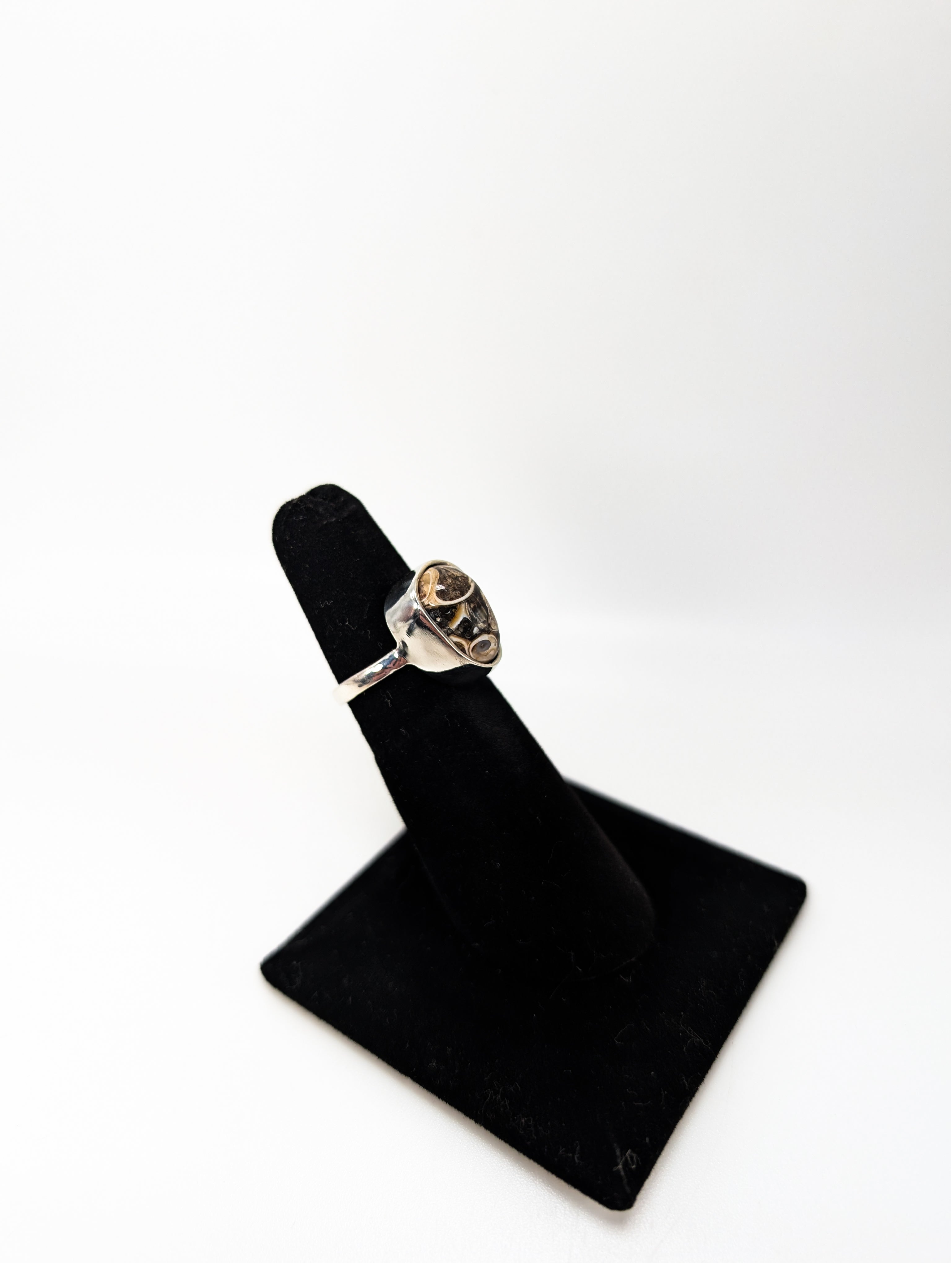 Seashell Fossil Silver Ring .925 Silver