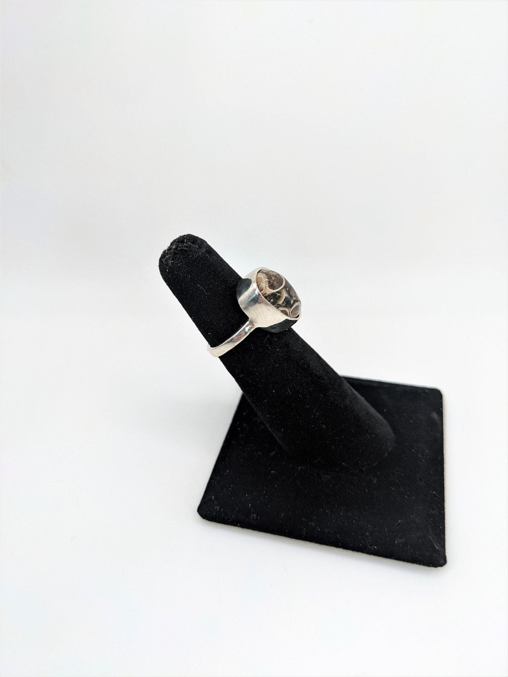 Seashell Fossil Silver Ring