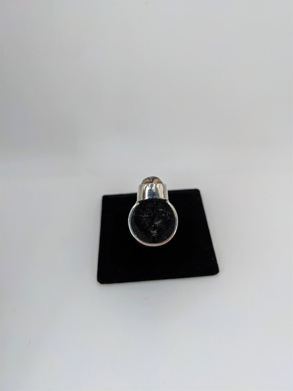 Seashell Fossil Silver Ring